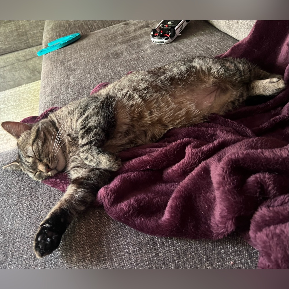 Please read 💚 - Picture 12 of 14